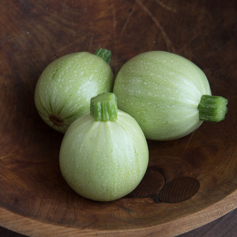 Summer Squash Hybrid Aayan Vegetable Seeds