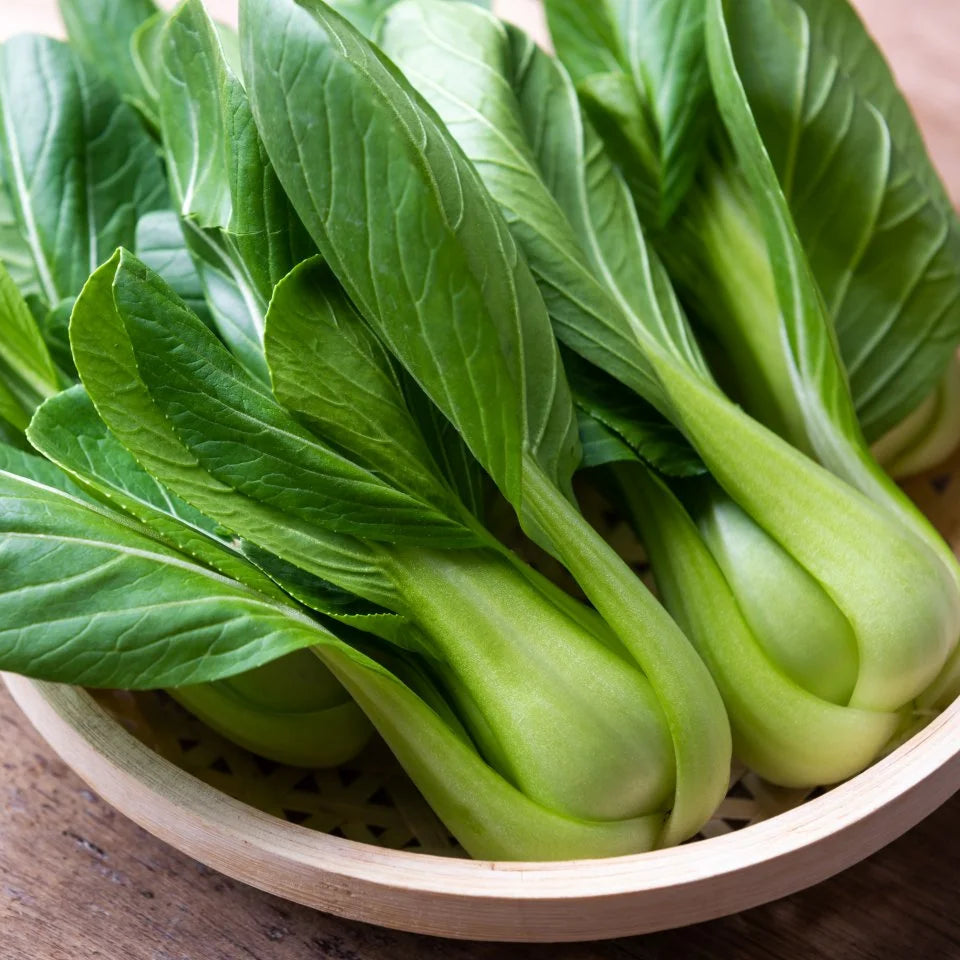Fresh White Pak Choy – Crisp, Nutritious, and Versatile Green Vegetable Exotic Vegetable Seeds
