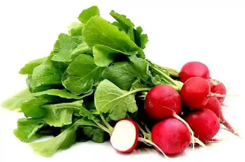 Turnip IMP OS Super Red Vegetable Seeds