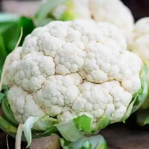 Cauliflower F1 Hybrid Him Daksh 65 Vegetable Seeds