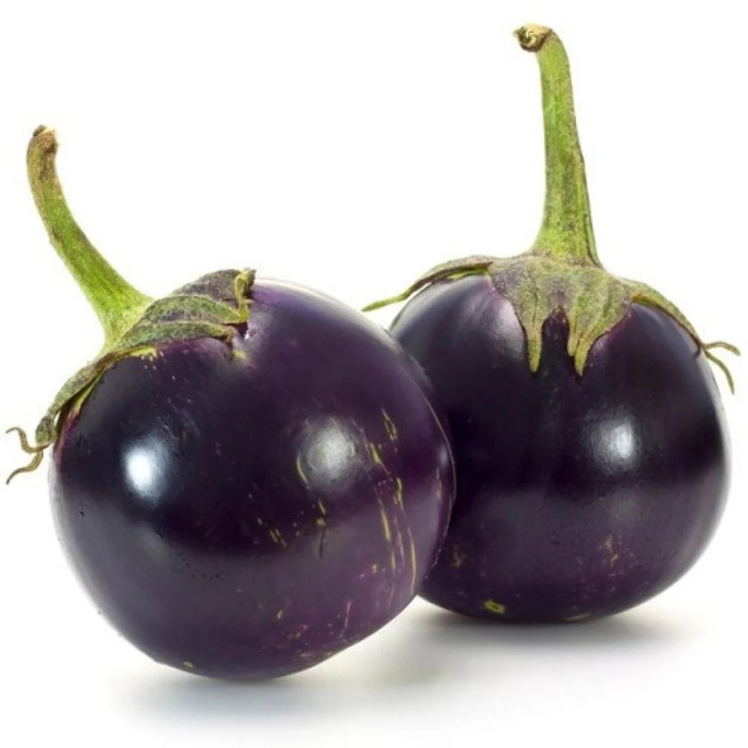 Brinjal Round Hybrid Vegetable Seeds