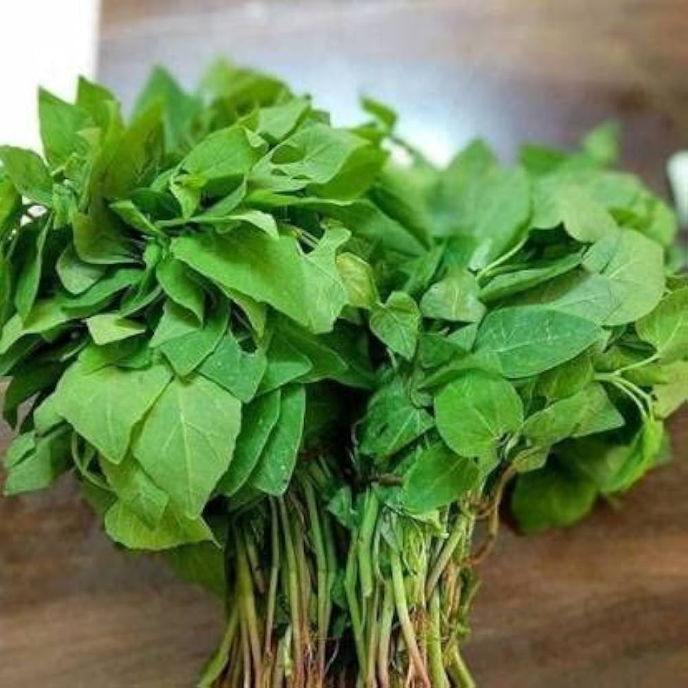 BATHUA Vegetable Seeds – Organic, High Germination Rate for Home Gardening