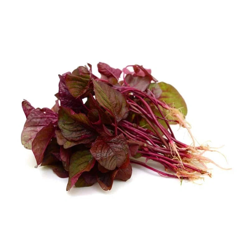 Red Edible Amaranthus Vegetable Seeds