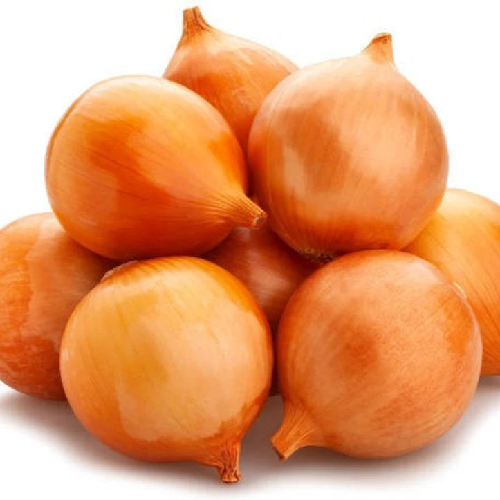 Onion Improved Gavran Vegetable Seeds
