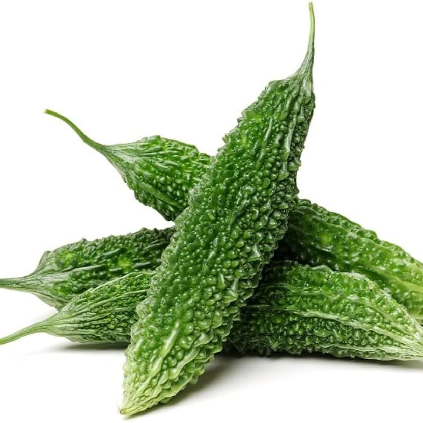 Bittergourd F1 Nastya Vegetable Seeds