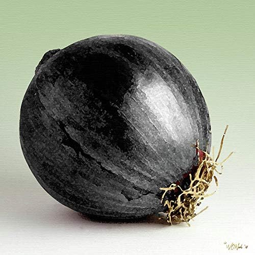 Onion Starz Z Black Vegetable Seeds