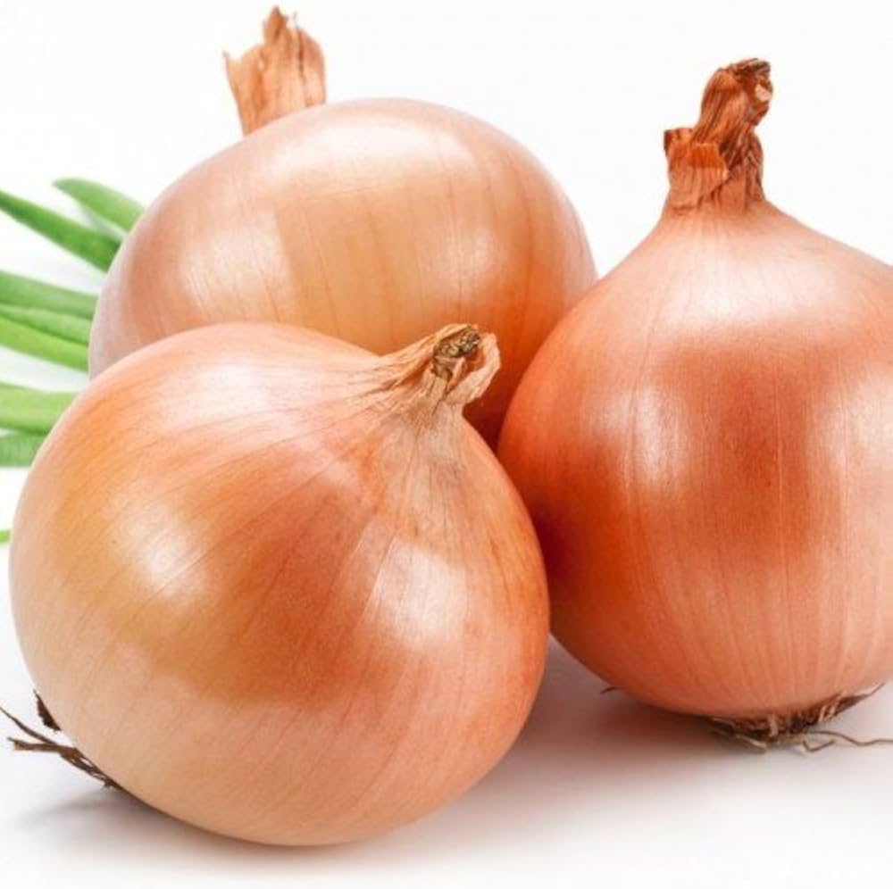 Onion Improved Gavran Vegetable Seeds