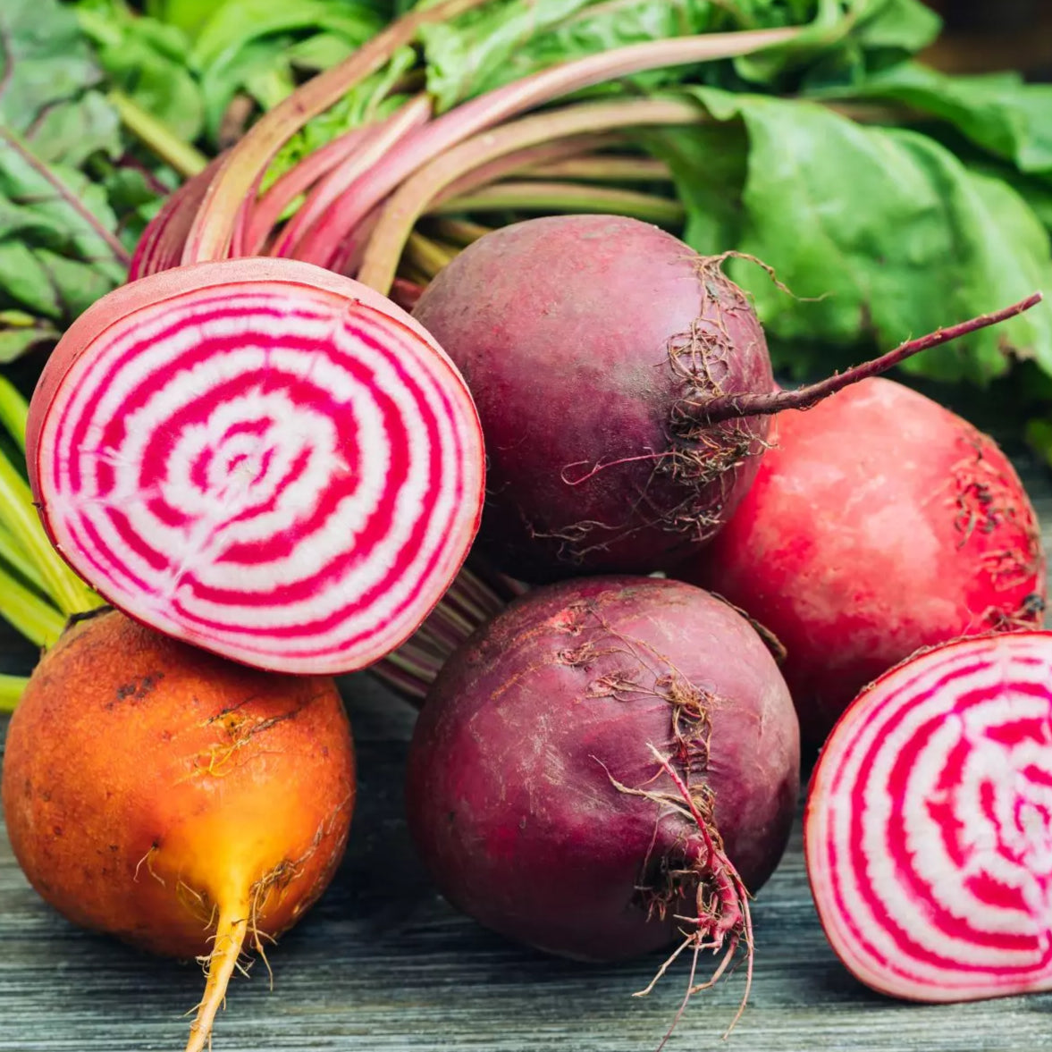 Beet Root & Misticanza Microgreens Seed Combo