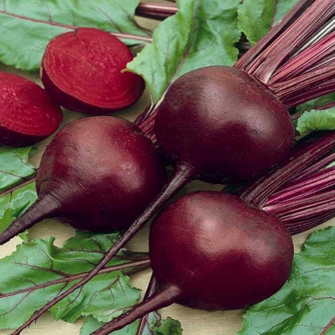 Beet Root F1 Hybrid Vegetable Seeds