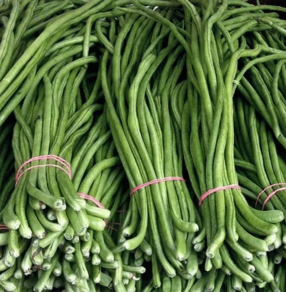 Lobia Cowpea Selection Vegetable Seeds