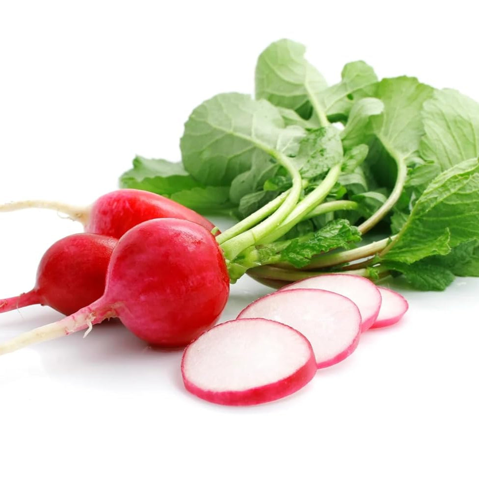 Radish Red Scarlet Globe Microgreens Seeds