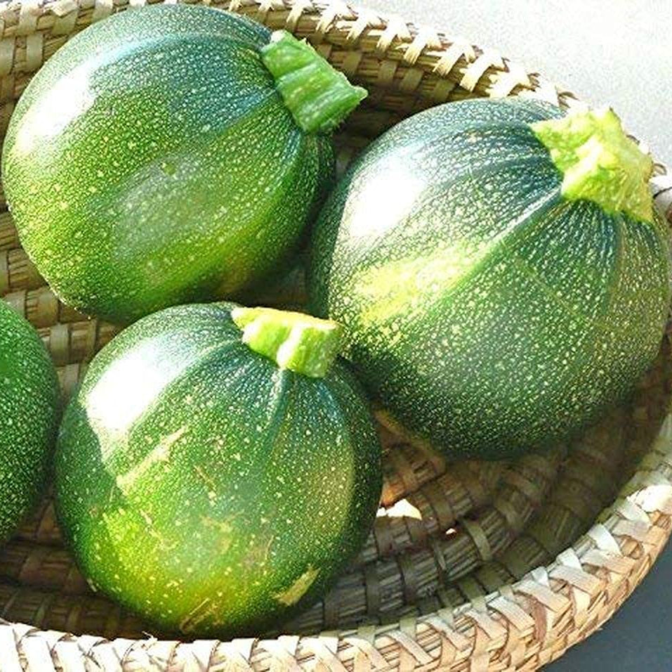 Chappan Kaddu Vegetable Seeds – High Yield, Organic Pumpkin Seeds for Your Garden