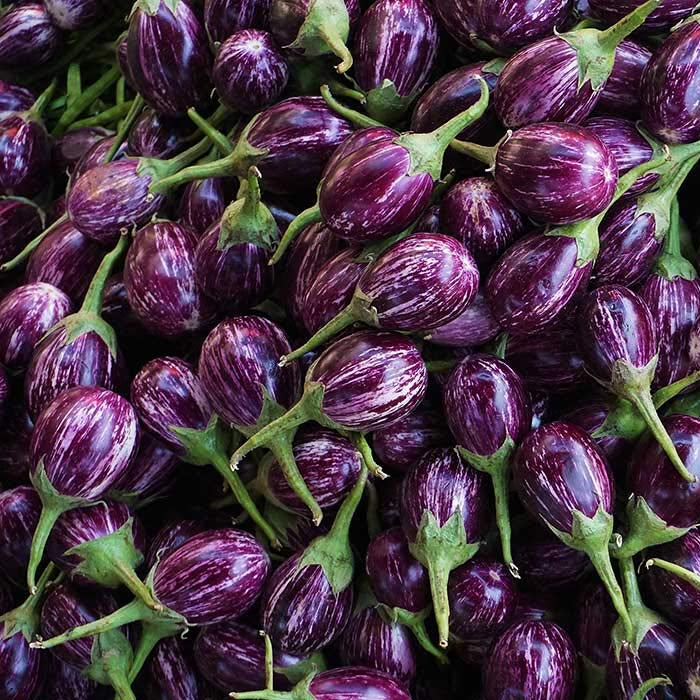Brinjal Eggplant F1 MK-24 Majrikatti Type Vegetable Seeds