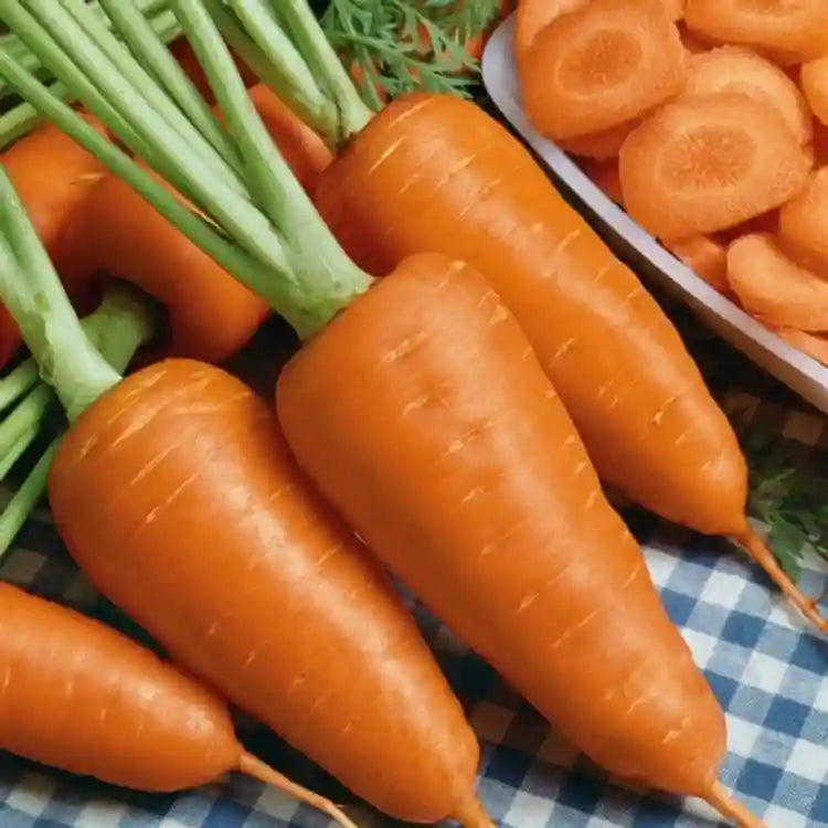 Carrot IMP Karuda Vegetable Seeds