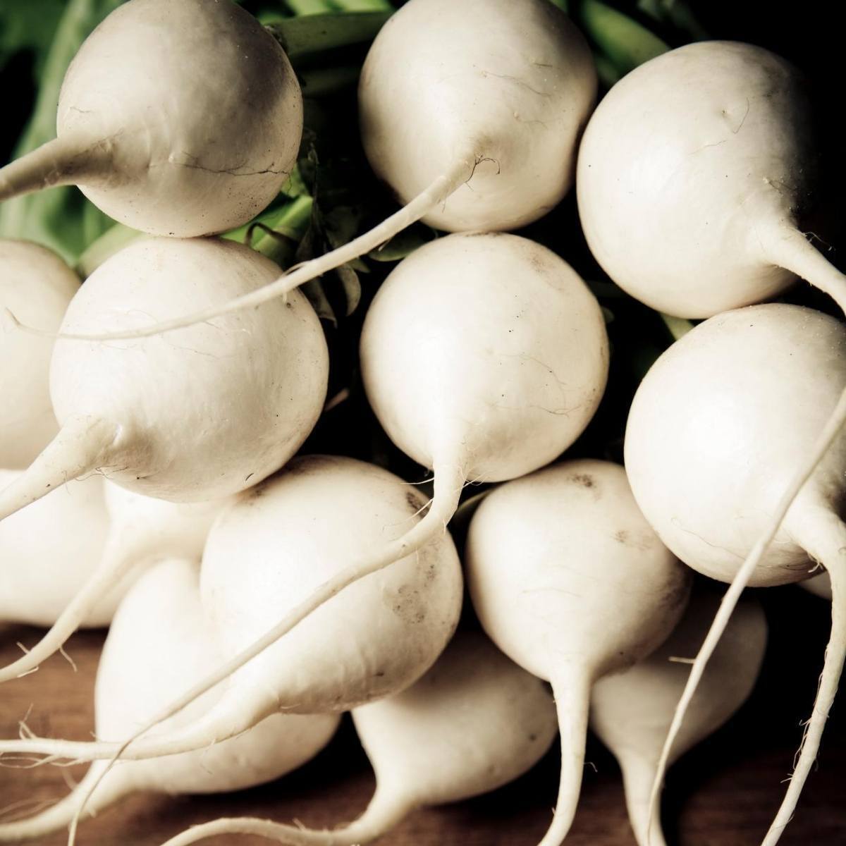 Radish White Round Herb Seeds