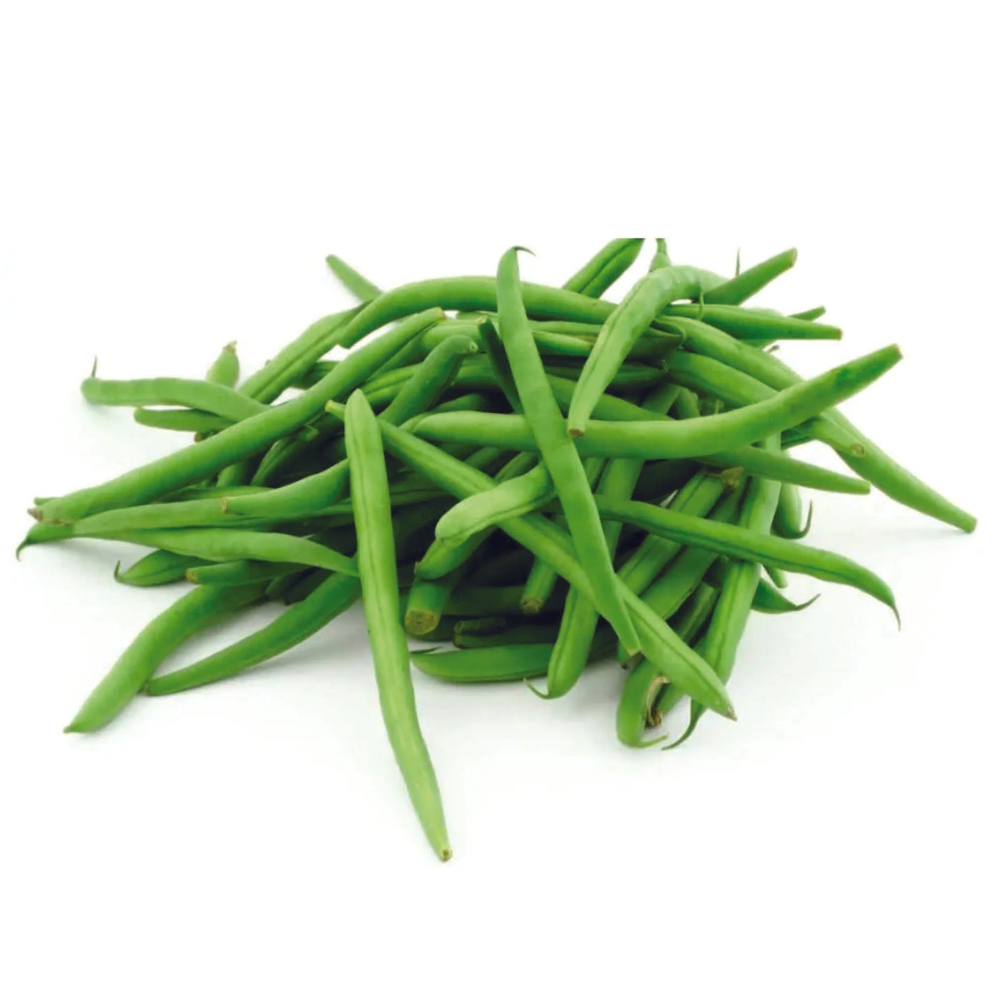French Beans HYB-SEL Vegetable Seeds