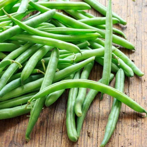 French Beans HYB-SEL Vegetable Seeds