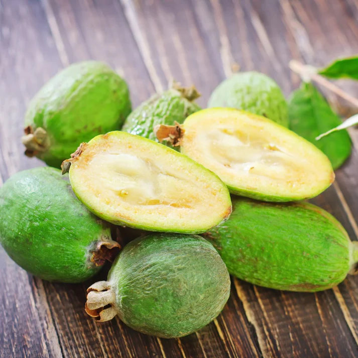 Feijoa Fruit Seeds