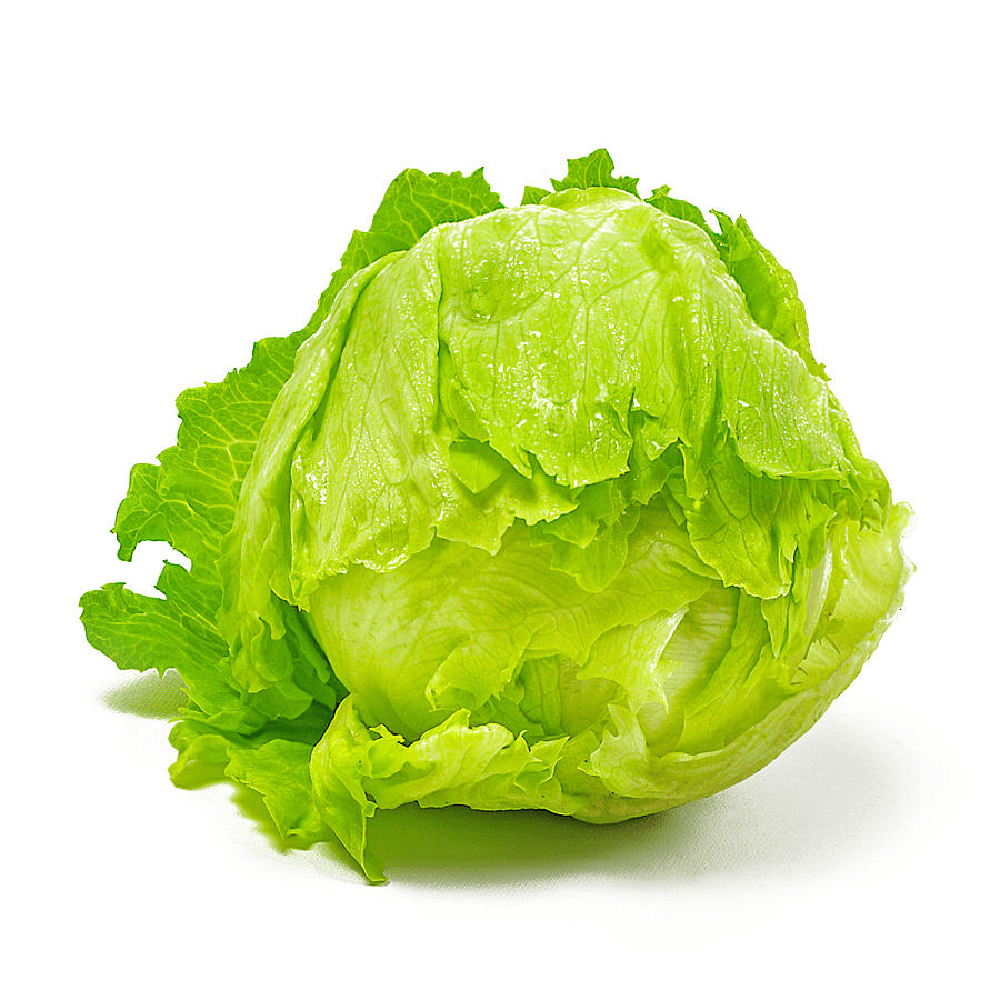 Fresh Iceberg Lettuce - Sanista Variety (Per Head)