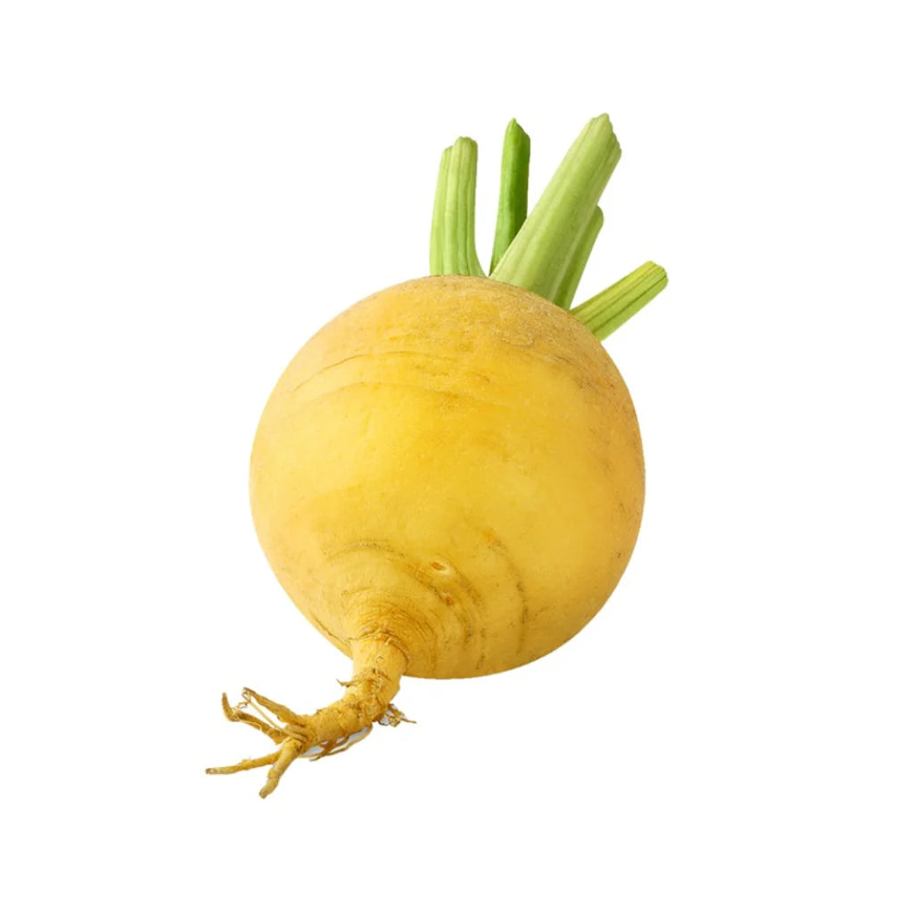 Turnip IMP Golden Yellow Vegetable Seeds