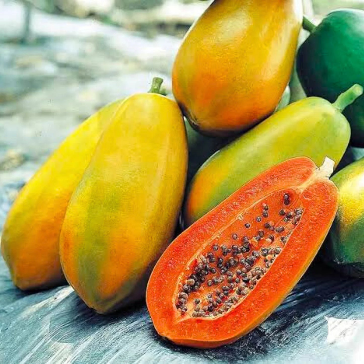 Papaya Selection I Vegetable Seeds
