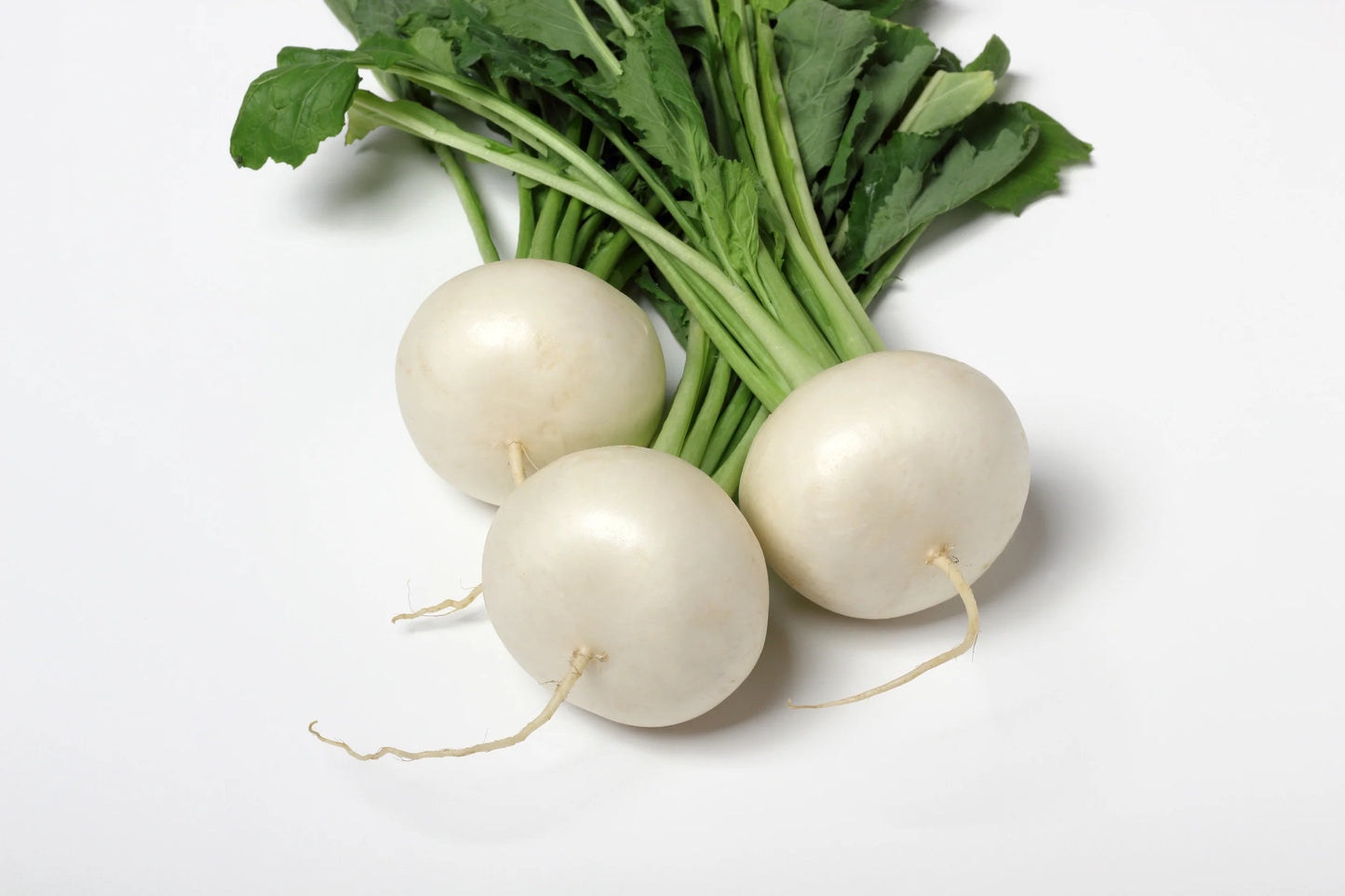 Turnip White Special Num 1 Vegetable Seeds