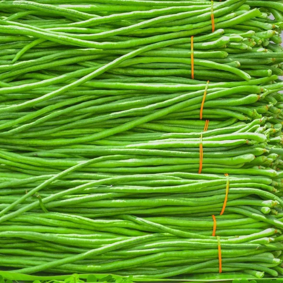 Yard Long Beans Imported Thailand Vegetable Seeds