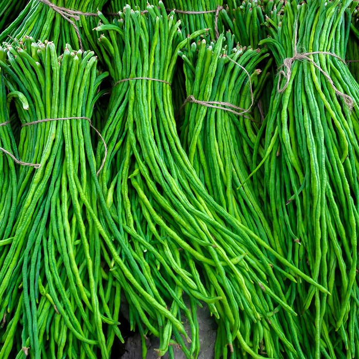 Yard Long Beans Imported Thailand Vegetable Seeds