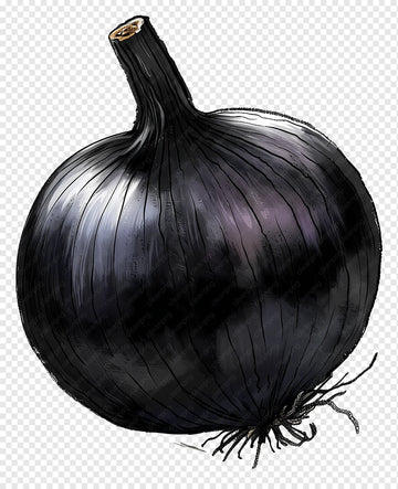 Onion Starz Z Black Vegetable Seeds