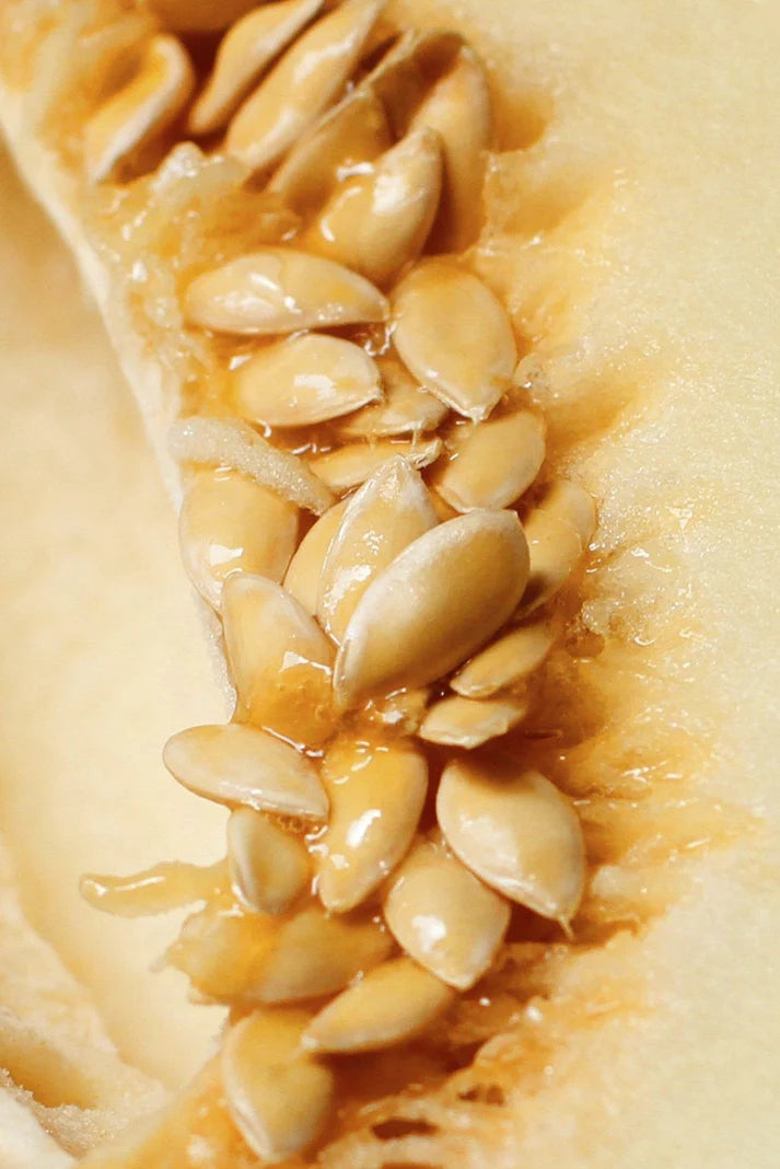Sweet Muskmelon Seeds