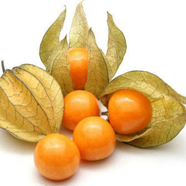 Cape Gooseberry Fruits Seeds