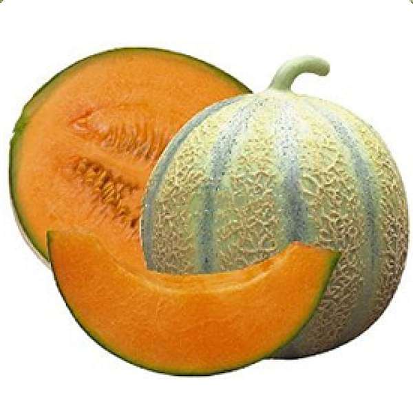 Sweet Muskmelon Seeds