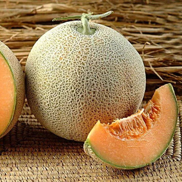 Muskmelon F1 Hybrid Nirupama Vegetable Seeds