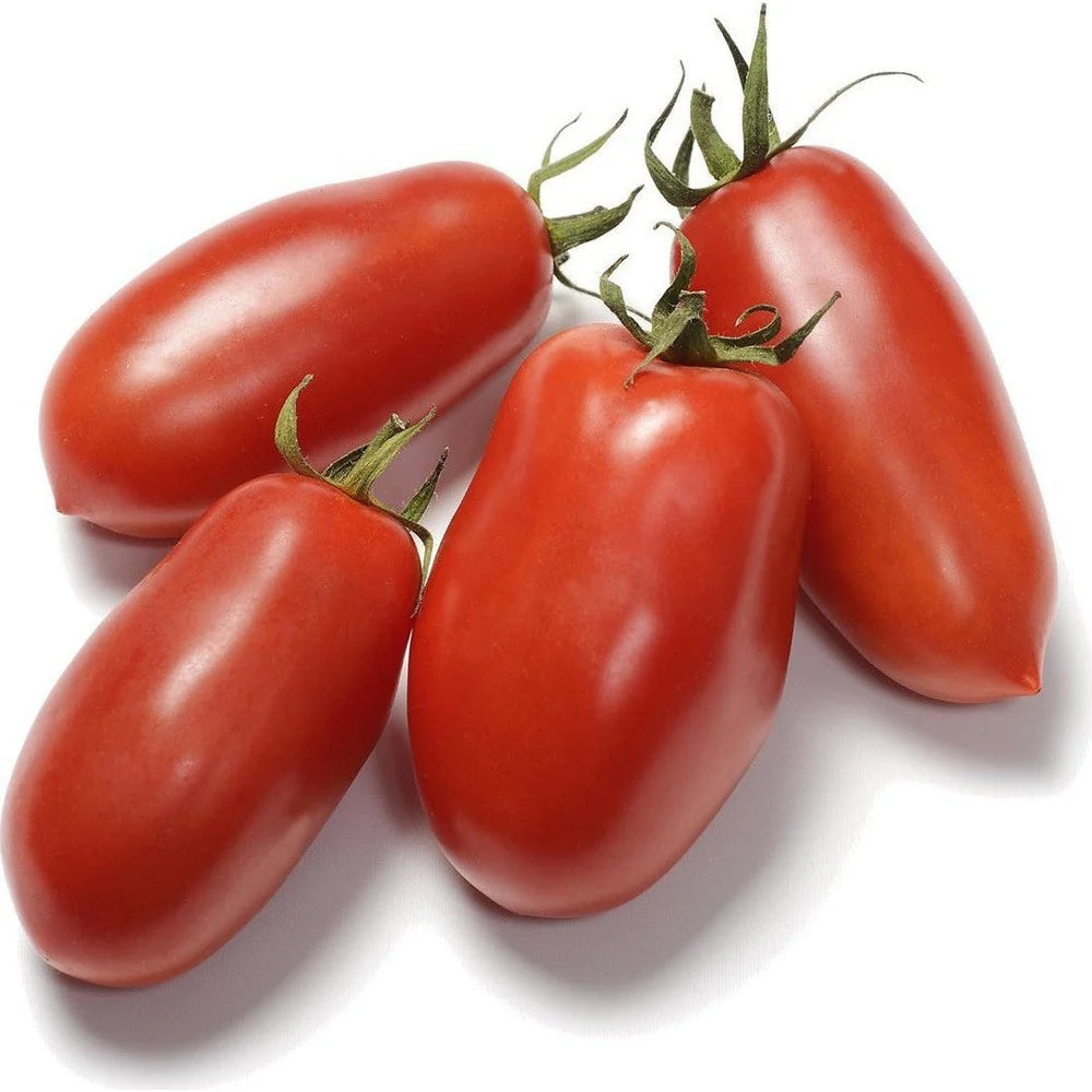 Tomato Heirloom San Marzano 3 Vegetable Seeds