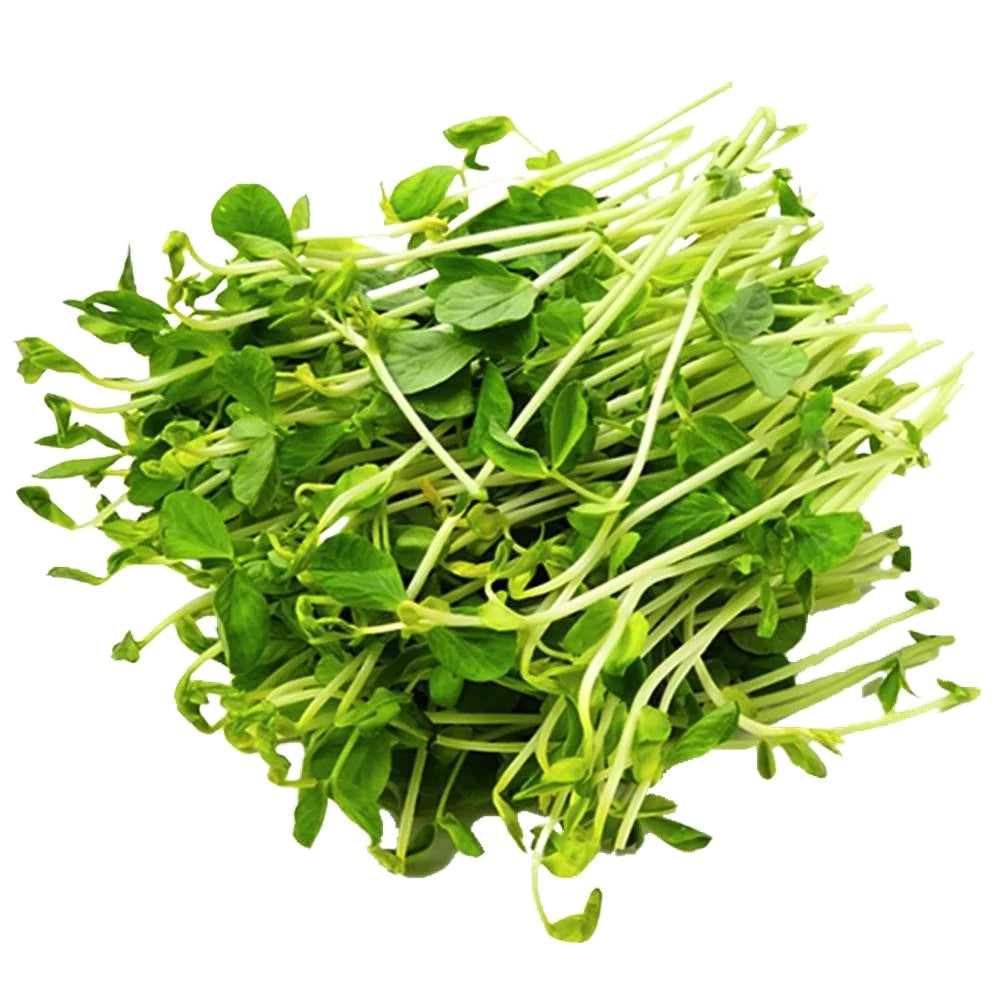 Snow Dwarf Green Shoots Leaf Microgreens Seeds