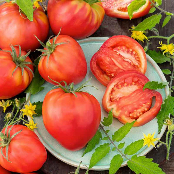 Tomato Heirloom Oxheart Vegetable Seeds