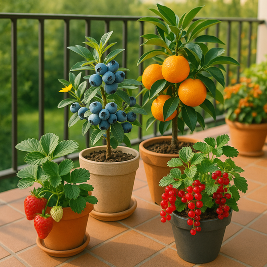 Best Fruit Seeds for Small Spaces and Containers