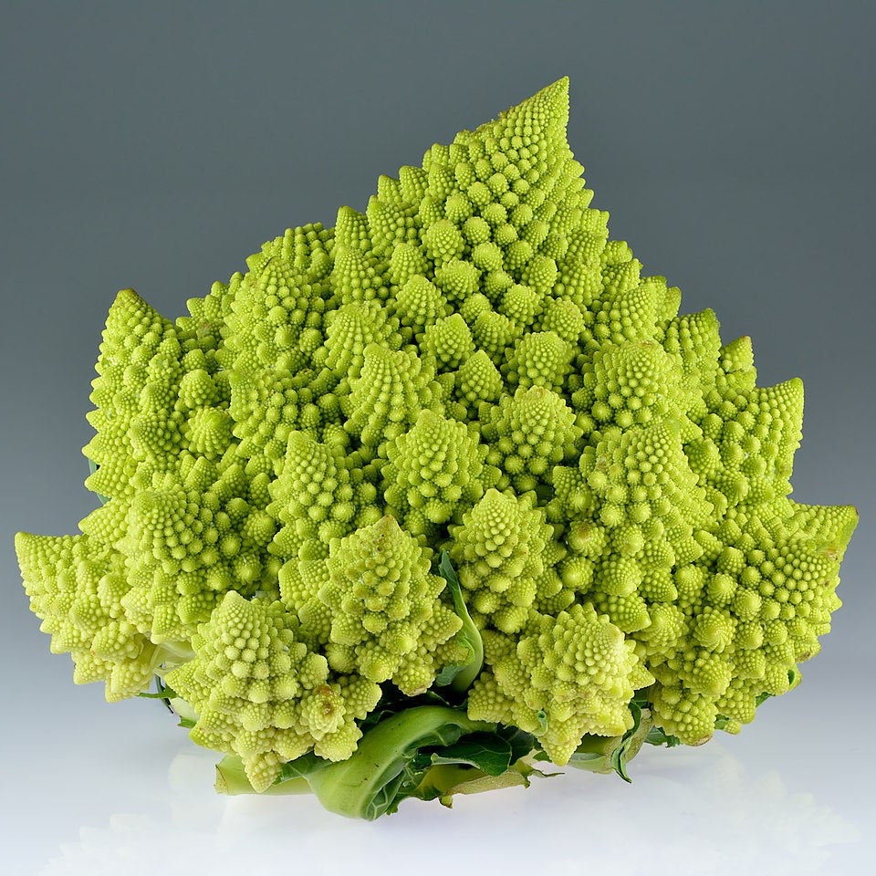 Romanesco Broccoli - Unique Mandir Temple Inspired Design Exotic Vegetable Seeds