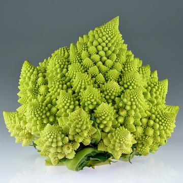 Romanesco Broccoli - Unique Mandir Temple Inspired Design Exotic Vegetable Seeds