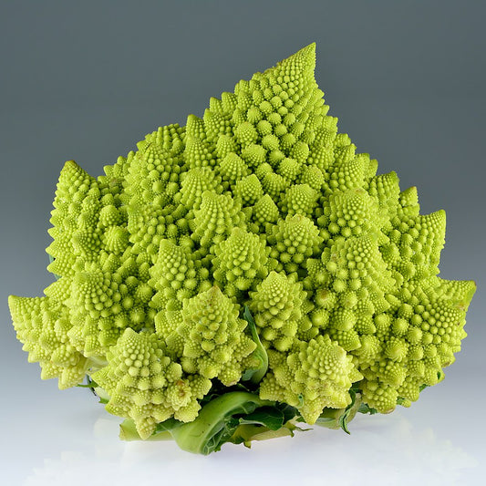 Romanesco Broccoli - Unique Mandir Temple Inspired Design Exotic Vegetable Seeds