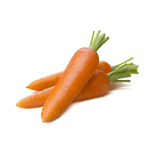Carrot IMP Early Nantes Vegetable Seeds