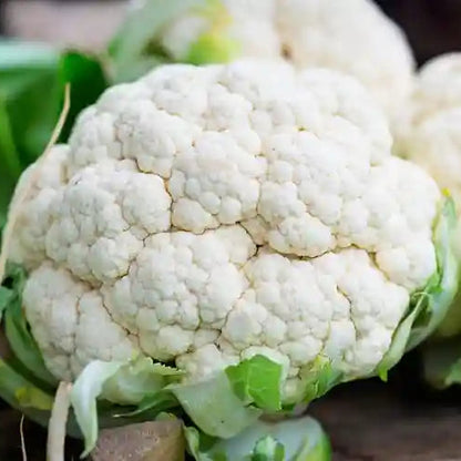 Cauliflower F1 Hybrid Him Daksh 65 Vegetable Seeds