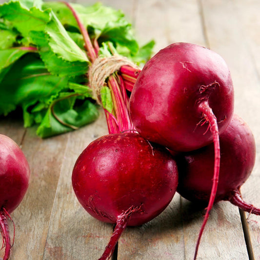 Beetroot Ruby Queen Vegetable Seeds