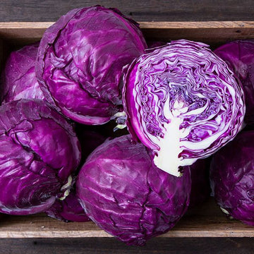 Organic Red Cabbage Microgreens Seeds