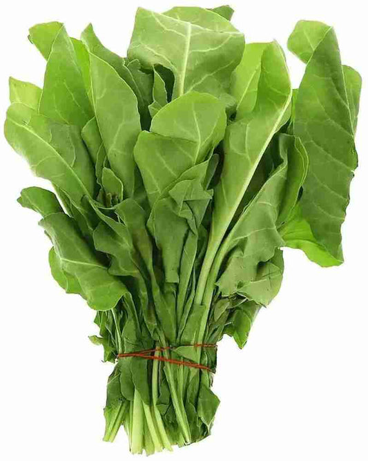 Palak (Spinach) Vegetable Seeds - High Yield, Fresh & Nutritious