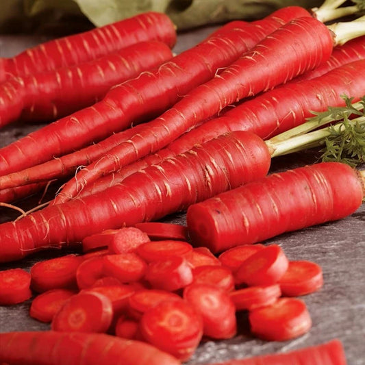 Carrot Selection Red Vegetable Seeds