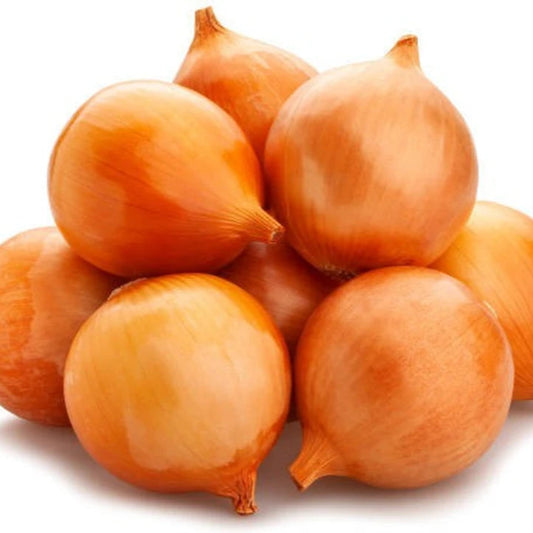 Onion Improved Gavran Vegetable Seeds