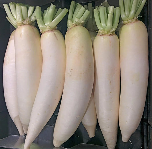 Radish Padra Leaf Vegetable Seeds