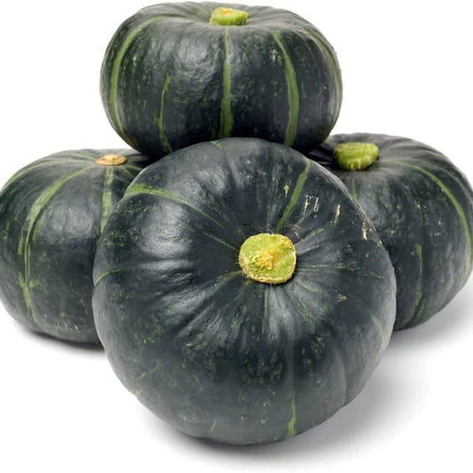 Pumpkin F1 Hybrid OS 204 Vegetable Seeds