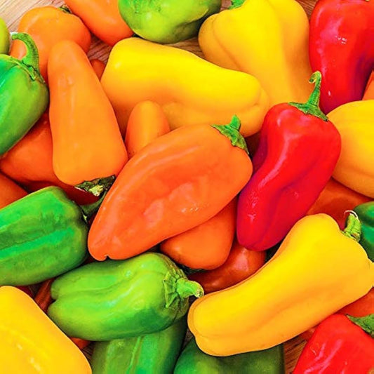 Mixed Bell Pepper (6 Types) – Fresh & Colorful Assortment Exotic Vegetable Seeds